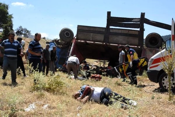Kurbanlık yüklü kamyon şarampole devrildi: 3 kişi yaralandı, çok sayıda hayvan telef oldu