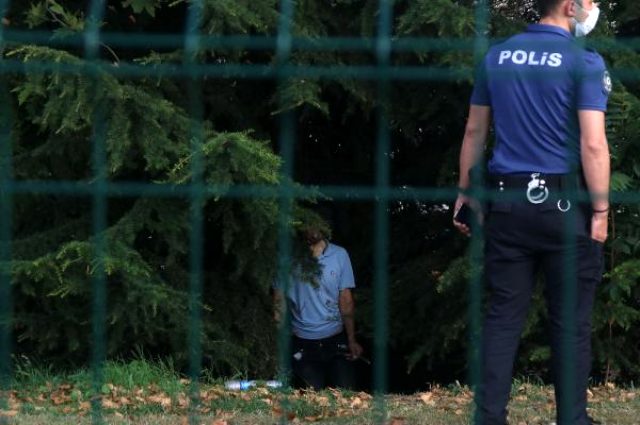 İstanbul'da E-5'in kenarında ağaca asılı cansız beden bulundu