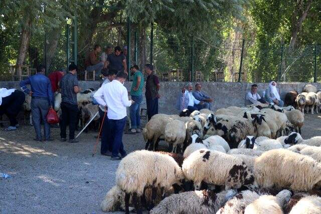 Diyarbakır'daki kurbanlık pazarlarında tedbirler hiçe sayıldı Diyarbakır'daki kurbanlık pazarlarında tedbirler hiçe sayıldı