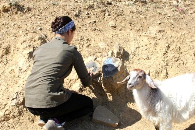 Çoban ressam yaptığı resimlerle doğayı açık hava sergisine çevirdi