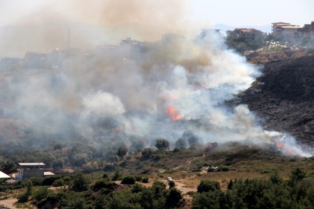 İzmir ve Muğla'da makilik alanda yangın çıktı! Ekiplerin müdahalesi sürüyor