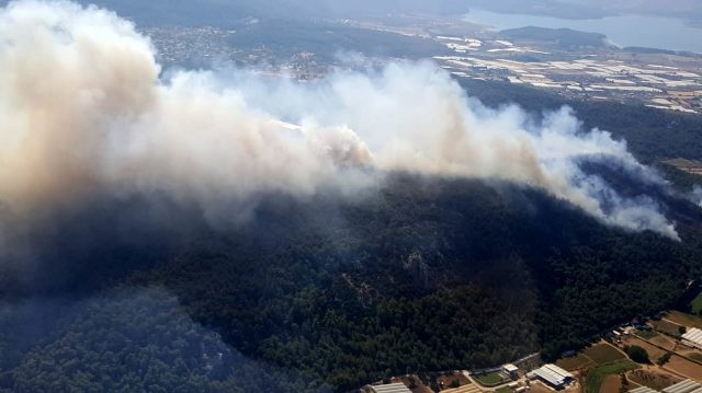 İzmir ve Muğla'da makilik alanda yangın çıktı! Ekiplerin müdahalesi sürüyor