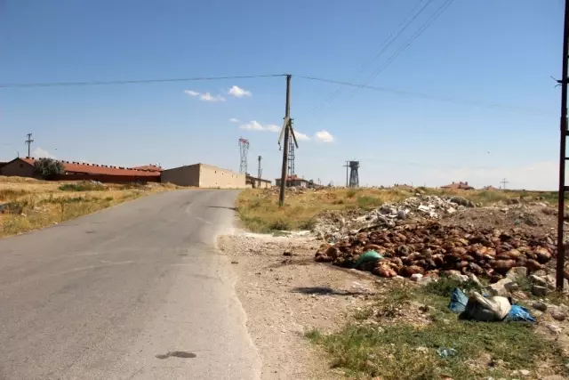 Yol kenarına kamyonlarla dökülen sakatatlar vatandaşların tepkisine neden oldu