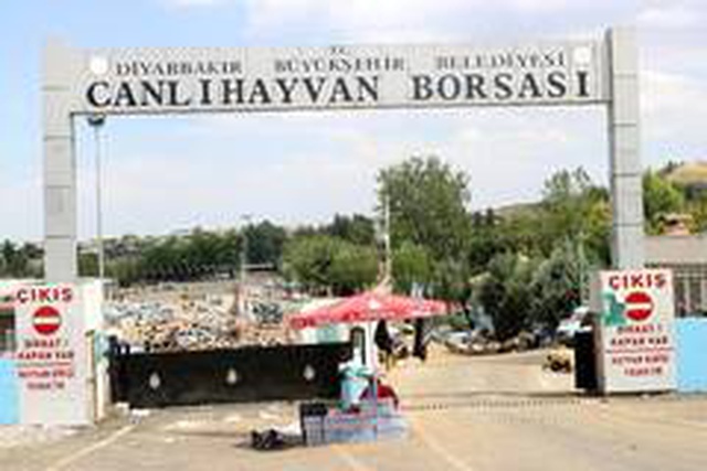 Diyarbakır'da kurbanlık fiyatları bayramın 3'üncü gününde yüzde 30 düştü Diyarbakır'da kurbanlık fiyatları bayramın 3'üncü gününde yüzde 30 düştü