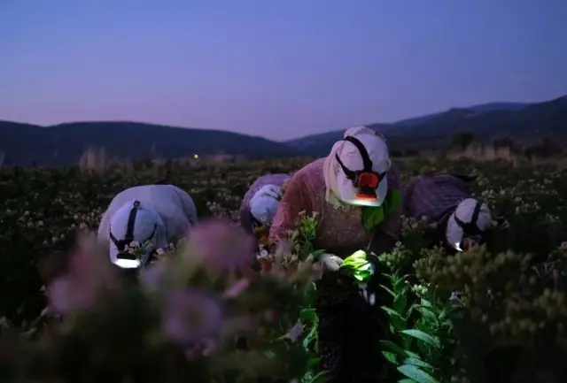 Koronavirüs: BM destekli araştırmaya göre Covid-19 krizi Türkiye'de kadınların iş yükünü artırdı