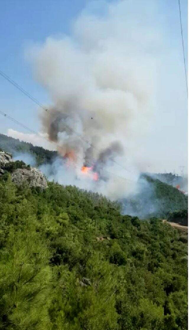 İzmir'de orman yangını çıktı! Yangına havadan ve karadan müdahale ediliyor İzmir'de orman yangını çıktı! Yangına havadan ve karadan müdahale ediliyor
