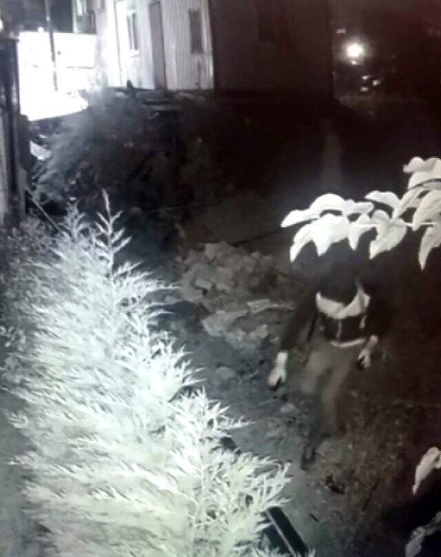 Yeni evli çift balayındayken evlerinden aldıkları haberle yıkıldı