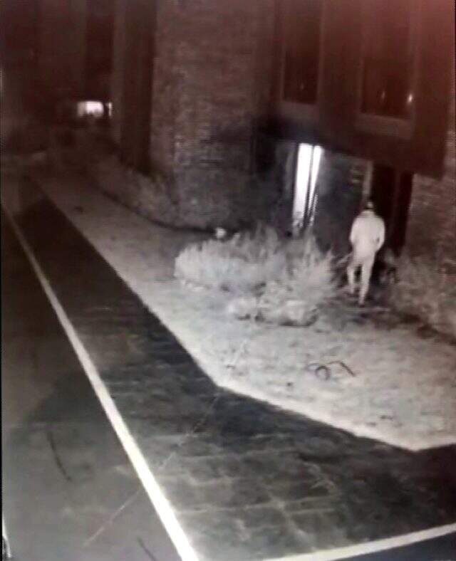 Yeni evli çift balayındayken evlerinden aldıkları haberle yıkıldı