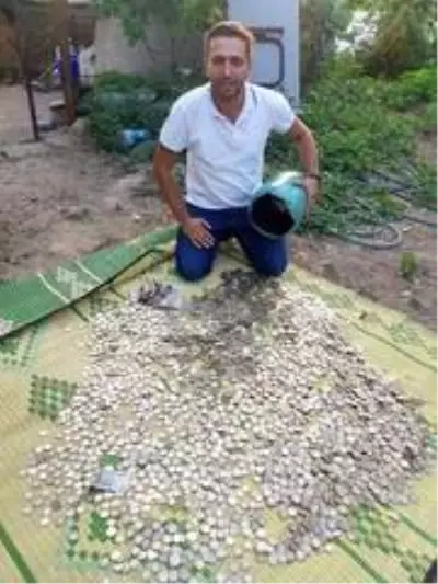 Bursalı çiftçi 7 yılda biriktirdiği paralarla öz çekim yaptı