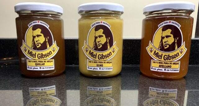 Ünlü oyuncu Mel Gibson, 'Miel Gibson' balına geçit vermedi