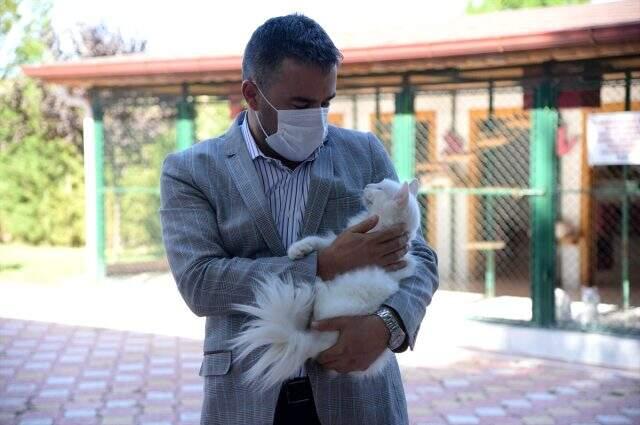 Ayasofya Camii'nin ünlü kedisi Gli'ye arkadaş geldi