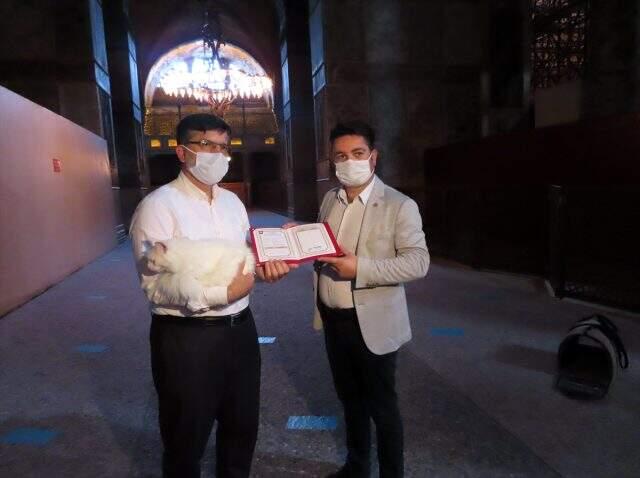 Ayasofya Camii'nin ünlü kedisi Gli'ye arkadaş geldi