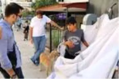 Çuvalda uyurken bulunup koruma altına alındı! Hikayesi yürek burktu Çuvalda uyurken bulunup koruma altına alındı! Hikayesi yürek burktu