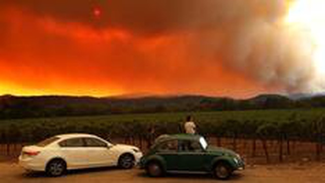 California yangınları: 500 bin hektarlık alan yandı California yangınları: 500 bin hektarlık alan yandı