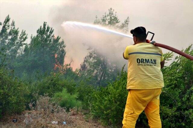 Adana'da havanın aydınlanmasıyla yangına havadan müdahale tekrar başladı Adana'da havanın aydınlanmasıyla yangına havadan müdahale tekrar başladı