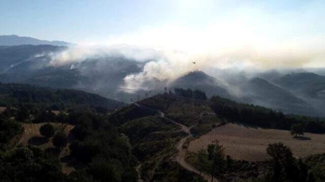 Adana Kozan'daki yangınla ilgili 3 kişi gözaltına alındı
