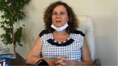 İhaleyle ava çıkarılan 7 geyik mahkeme kararıyla kurtarıldı İhaleyle ava çıkarılan 7 geyik mahkeme kararıyla kurtarıldı