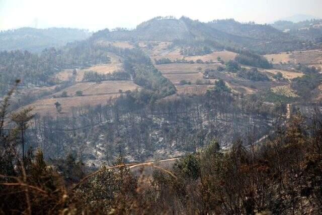 Adana Kozan'daki yangınla ilgili 3 şüpheli daha gözaltına alındı