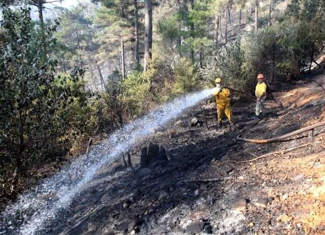 Adana Kozan'daki yangınla ilgili 3 şüpheli daha gözaltına alındı