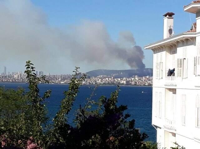 Maltepe'de ormanlık alanda yangın çıktı! İtfaiye ekiplerinin müdahalesi sürüyor