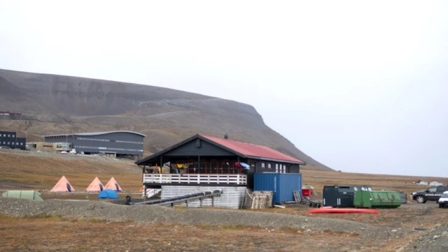 Norveç'te Svalbard takımadasında 38 yaşındaki bir kişi kutup ayısı saldırısında öldü