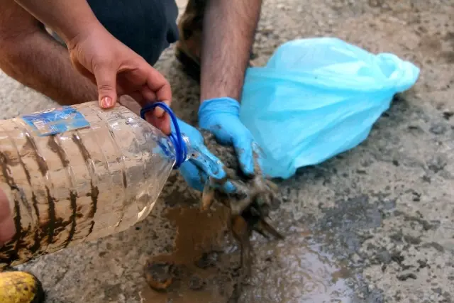 Paralarını çamur içerisinde buldu, suyla yıkadı