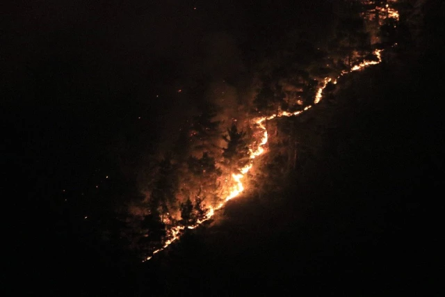 Adana'da orman alanda yangın çıktı