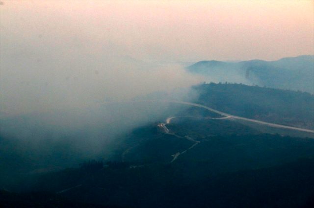 Suriye'de sınırda çıkan orman yangını Türkiye'ye sıçradı