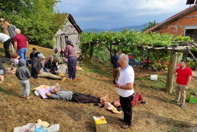 Fındık işçilerini taşıyan traktör devrildi: 14 kişi yaralandı Fındık işçilerini taşıyan traktör devrildi: 14 kişi yaralandı