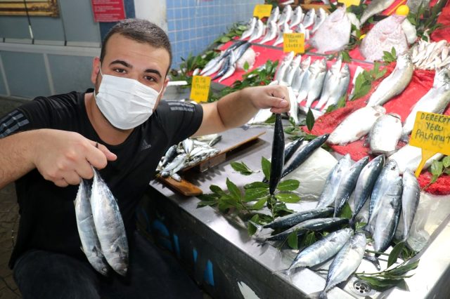 Av sezonunun açılmasıyla balıkçıların gözdesi olan palamudun tanesi 10 liradan satılıyor