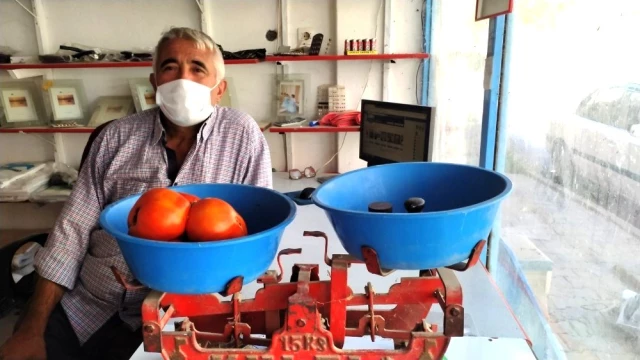 Kütahyalı çiftçi, 1,5 kilogram ağırlığında domates yetiştirdi