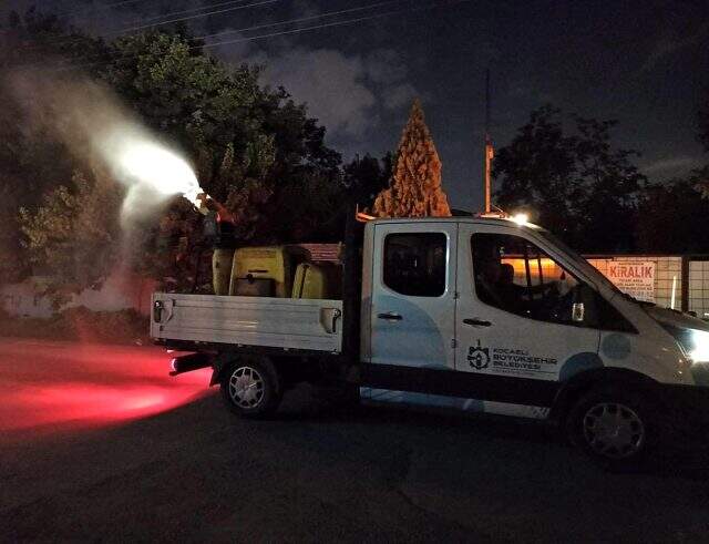İstanbul sınırındaki 3 ilçeyi böcekler istila etti! Önlemlerde başarılı olamayan vatandaş belediyeden yardım istedi İstanbul sınırındaki 3 ilçeyi böcekler istila etti! Önlemlerde başarılı olamayan vatandaş belediyeden yardım istedi
