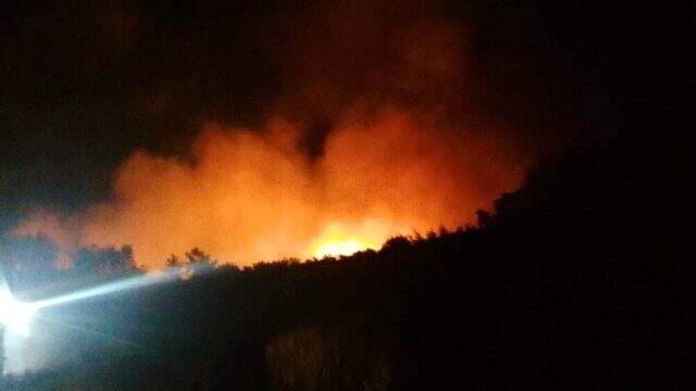 Antalya'da orman yangını çıktı! Bölgeye çok sayıda itfaiye ekibi sevk edildi Antalya'da orman yangını çıktı! Bölgeye çok sayıda itfaiye ekibi sevk edildi