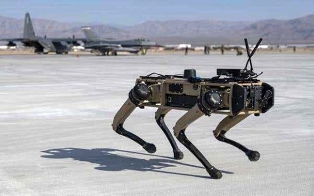 Robot köpekler ABD ordusunun tatbikatına katıldı