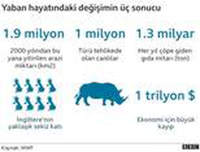 Yaban hayvanlarının nüfusunun 50 yılda yüzde 68 azaldığını ortaya koyan WWF: Dünyamızı yok ediyoruz Yaban hayvanlarının nüfusunun 50 yılda yüzde 68 azaldığını ortaya koyan WWF: Dünyamızı yok ediyoruz