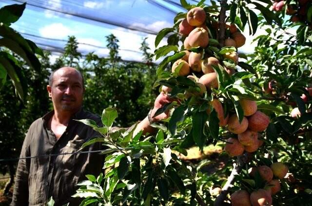 Konyalı çiftçinin ürettiği elmalar henüz dalından toplanmadan 20 ülkeye satılıyor