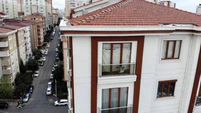Talihsiz martı, ev sahibi çilingire izin vermeyince 5 gün boyunca sıkıştığı yerde can çekişti Talihsiz martı, ev sahibi çilingire izin vermeyince 5 gün boyunca sıkıştığı yerde can çekişti