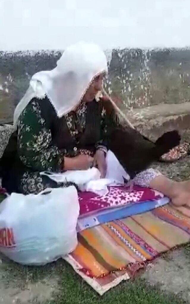 Tavukları ağzı ile besliyor Tavukları ağzı ile besliyor