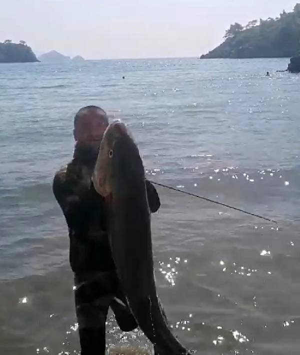 Tatil için gittiği Fethiye'de zıpkınla 35 kilo, 165 santimetre boyunda akya balığı yakaladı