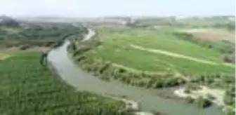 Son dakika... 'Toz fırtınası, göl ve nehirde alg patlamasına neden olabilir'