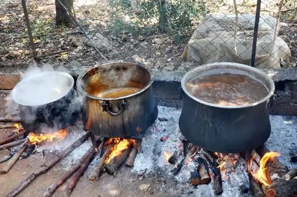 Keçiboynuzunun kilosu 10, pekmezi 50 liraya satılıyor