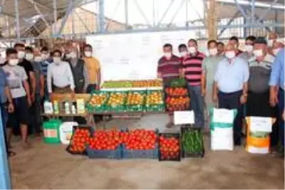 Tarlada 40 kuruşa düşen domatesin kilosu markette 5,95 liradan satılıyor