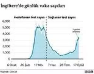 Koronavirüs: İngiltere'de bilim insanları salgınla mücadele yöntemleri konusunda anlaşamıyor