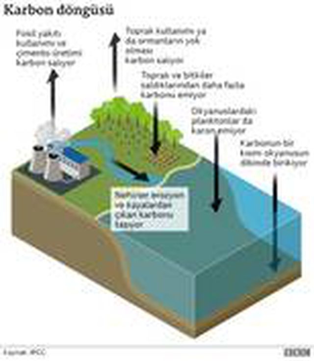 İklim değişikliği: Çin'den 2060'a kadar 'karbon nötr olma' sözü
