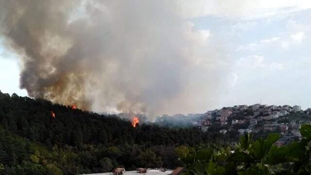 İstanbul'da yerleşim yerlerine yakın iki noktada orman yangını İstanbul'da yerleşim yerlerine yakın iki noktada orman yangını