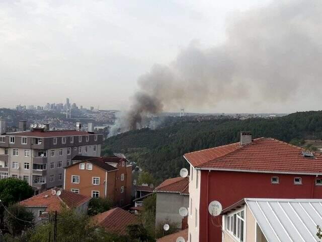 İstanbul'da yerleşim yerlerine yakın iki noktada orman yangını İstanbul'da yerleşim yerlerine yakın iki noktada orman yangını