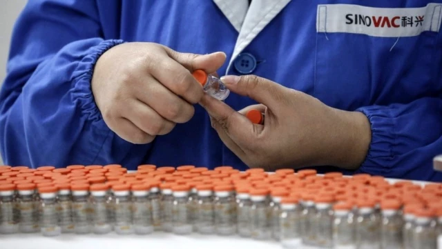 Koronavirüs aşısı: Çin şirketi Sinovac'ın aşısı Türkiye'de nasıl ve kimler üzerinde deneniyor?