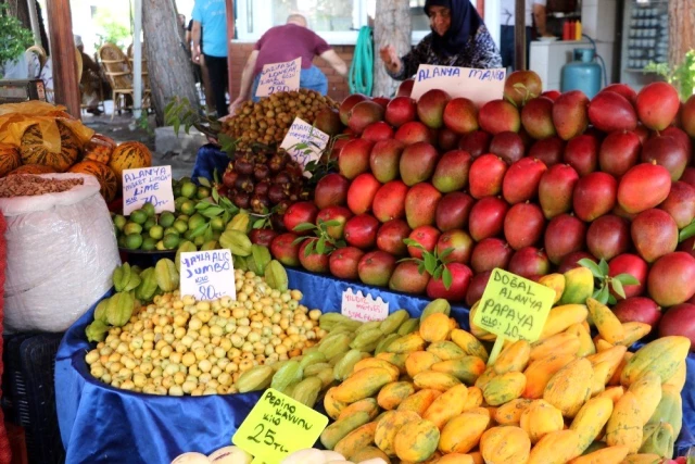 Alanya'da yetişen tropik meyveler, 350 liraya varan fiyatlarıyla dudak uçuklatıyor