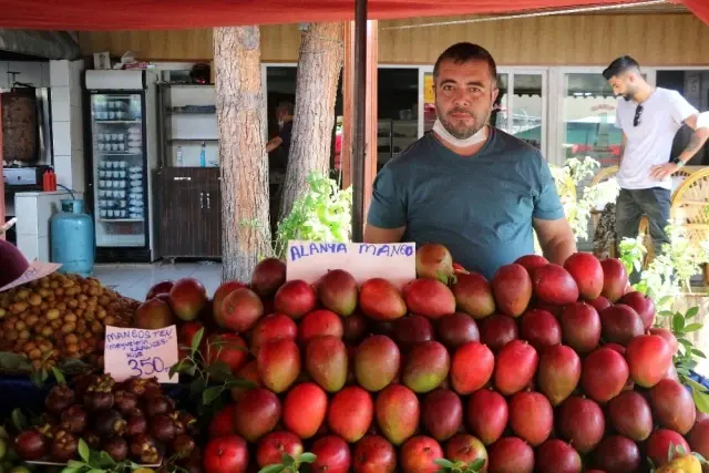 Alanya'da yetişen tropik meyveler 350 liraya varan fiyatlarıyla dudak uçuklatıyor