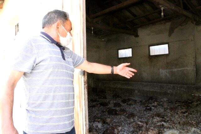 Can çekişen atın gözlerini kargalar oymasın diye saatlerce başında bekledi